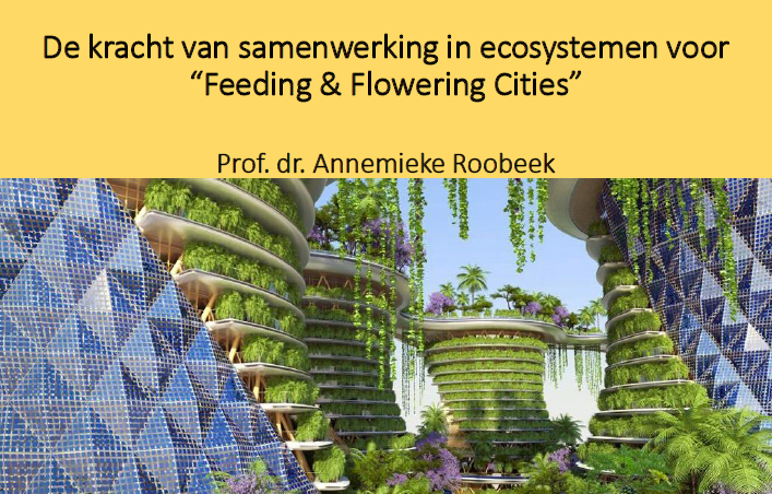 Slide feeding and flowering cities